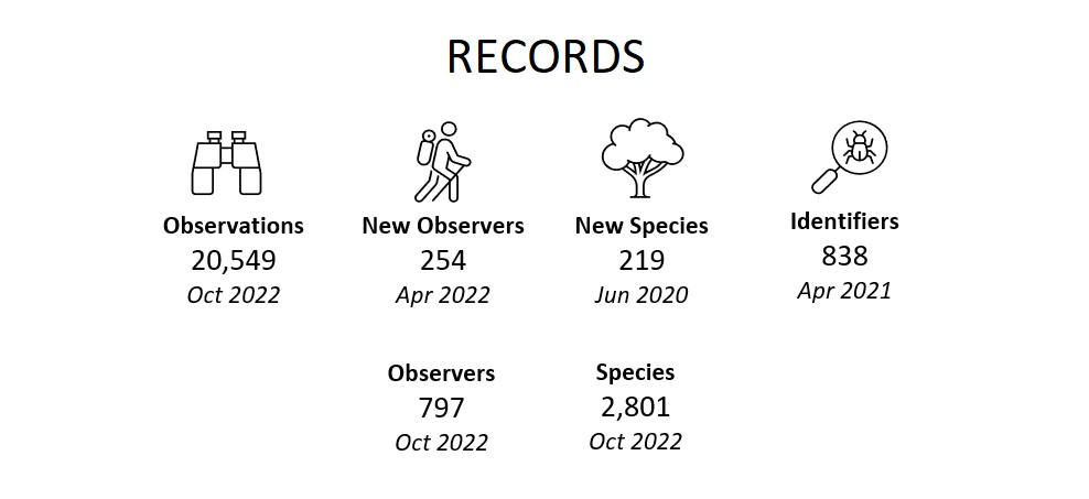 Records (October 2022)