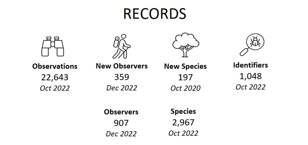 Records (May 2023)