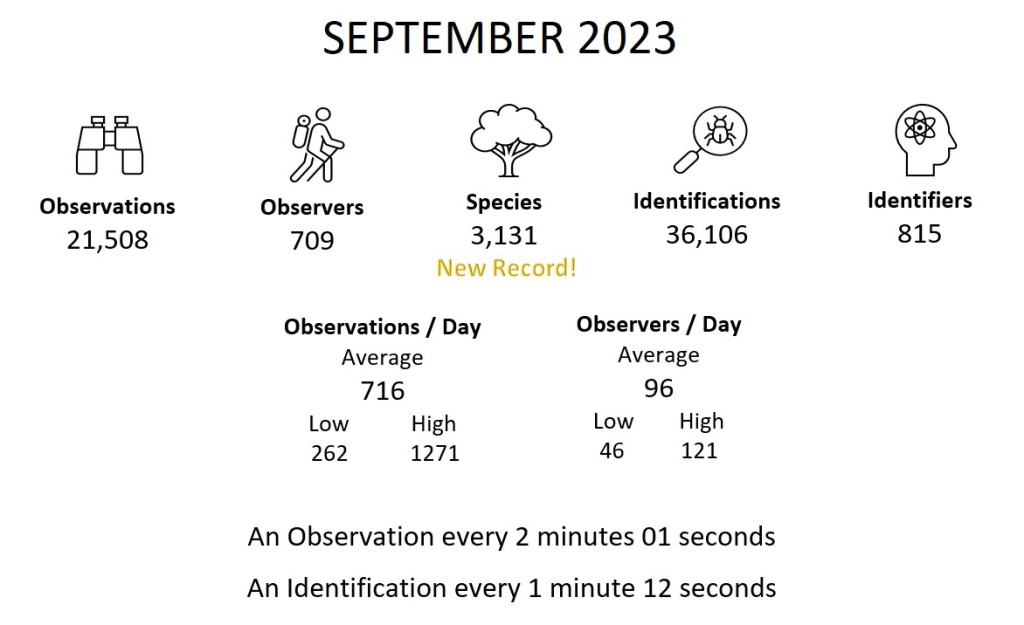 Month Summary (September 2023)