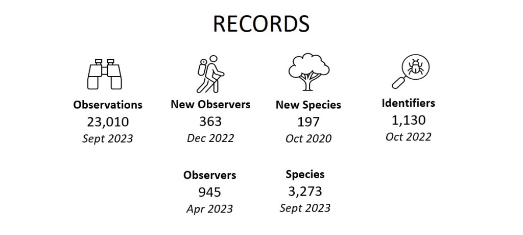 State Records (November 2023)